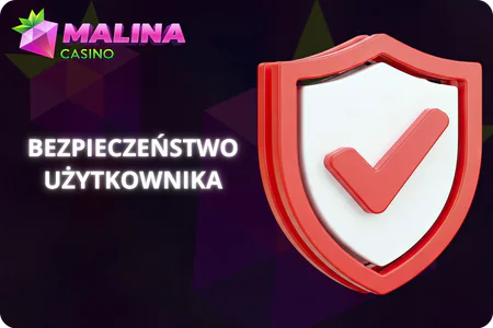 Bezpieczeństwo użytkownika Malina