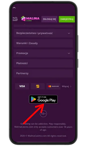 Przycisk Google Play Malina