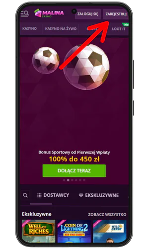 Przycisk rejestracji Malina