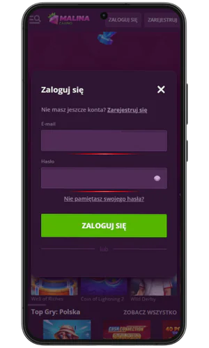 Wprowadź swój adres e-mail i hasło Malina